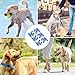 Heblumin 6 Gummiklammern Kompatibel mit Trac-ti GPS Dog 4 Tracker für Hunde Ersatz Gummi Clip Zubehör Hunde - Normal