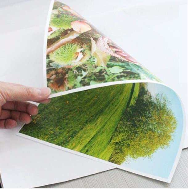 True-Ally A4 Resin Coated Water-Proof Double Sided Glossy Inkjet Photo Paper Size - 8.5x11 Inches, 254 GSM (A4 - (20 Sheets))