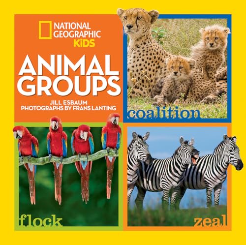 Animal Groups