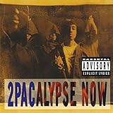 dance now vol 10  2pacalypse Now (2 Lp) [Vinyl LP]