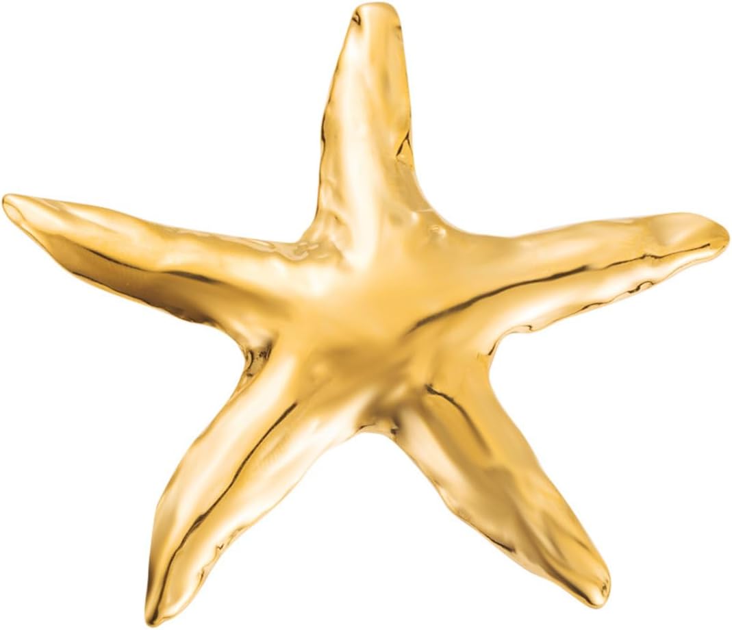 Starfish Brooch Pin for Women Gold Silver Ocean Starfish Lapel Pin Colorful Large Sea Star Shell Cute Pins Summer Marine Style Jewelry Accessories