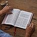 NKJV, Reference Bible, Classic Verse-by-Verse, Center-Column, Leathersoft, Brown, Red Letter, Comfort Print: Holy Bible, New King James Version