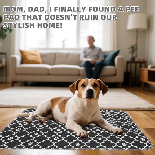 Image of KOOLTAIL Washable Pee Pads for Dogs, 2 Packs Super Absorbent Leakproof & Non-Slip Dog Pee Pad Extra Large, Reusable Puppy Training Pads Waterproof, Pet Mat Rug for Whelping,Floor,Crate,Cats, 36 inchx41 inch