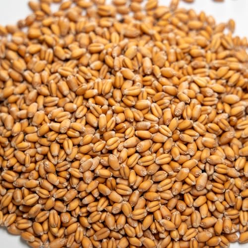 Thunder Acres Organic Soft Red Winter Wheat Seed (10 Pounds)