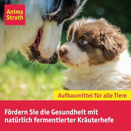 Anima-Strath Thymian – Flüssige Atemweg Unterstützung für Hunde + Katze | Natürliches Hustensaft Tonicum bei Husten & Schnupfen | Stärkt Immunsystem mit 61 Mikronährstoffen & Mineralien