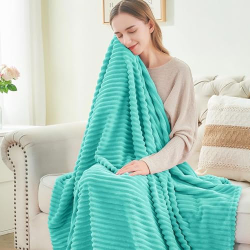 Image of BEDELITE Fleece Throw Blanket for Couch - 3D Ribbed Jacquard Soft and Warm Decorative Fuzzy Blanket - Cozy, Fluffy, Plush Lightweight Aqua Throw Blankets for Bed, Sofa, 50x60 inches