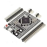 GRÖSSE: 1,5 Zoll * 2,17 Zoll (3,8 cm * 5,5 cm).