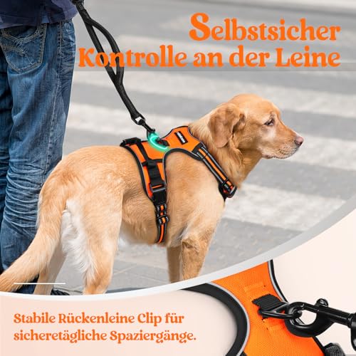 rabbitgoo Hundegeschirr Mittelgroße Hunde, Anti Zug Geschirr mit Kontrolle, No Pull Verstellbar Hundegeschirr Grosse Hunde, Atmungsaktiv Reflexstreifen Brustgeschirr Sichere Führung Orange XL