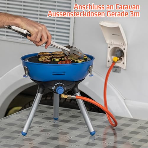 DOMINOX Propan Butan Gasschlauch mit Schelle 1/4\ lks und Steckkupplungen, Industrial Gasschlauch 3m 300cm