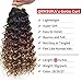 GoGo Curl Crochet Hair for Women Water Wave Curly Crochet Hair Wavy Human Hair Deep Wave Beach Curl Crochet Synthetic Hair Extensions (12 inch(Pack of 6), 1B/30/27)