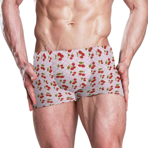 Cherry Fruit Pink Plaid Mens Swim Trunk Swimwear Bathing Suit Swim Brief Square Leg Board Short S B04047132