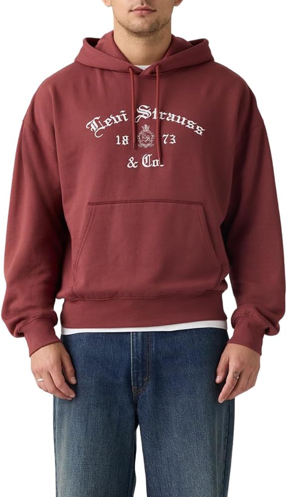 Levi's Men's Graphic Boxy Hoodie