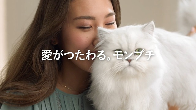 Amazon.co.jp: モンプチ プチリュクス パウチ まぐろづくしバラエティ