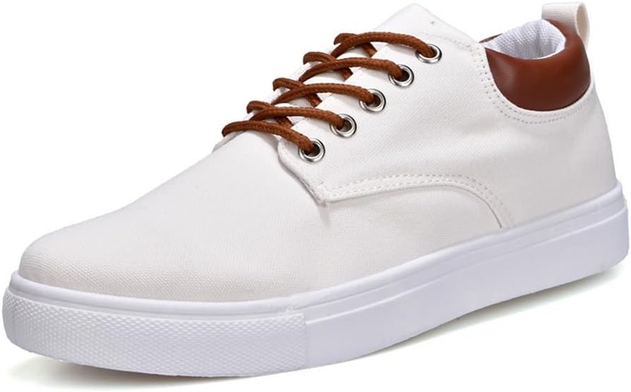 tazimall New Casual Sneakers for Men Lace-Up Canvas Shoes Low Top Walking Shoes