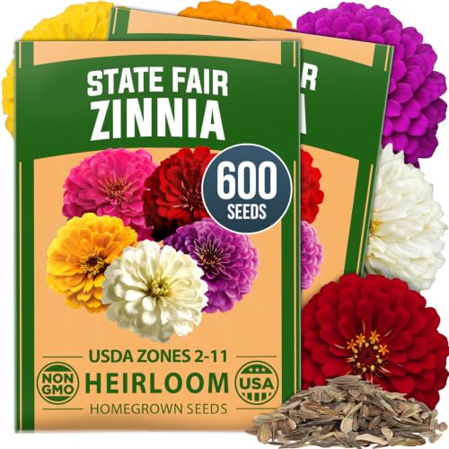 Image of HOME GROWN State Fair Zinnia Seeds, 600 Seeds, Zinnia elegans