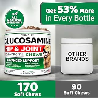 Glucosamine for Dogs - Hip and Joint Supplement for Dogs - 170 Ct - Glucosamine Chondroitin Chews - Joint Pain Relief Supplement with MSM - Advanced Health - Mobility Support - Made in USA