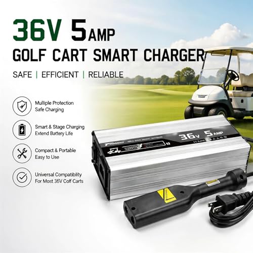TSONDEKU 36V 5A Charger