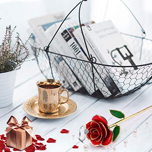 PREUP Rosa 24K Regali Natale Donna, Fiore Rosa