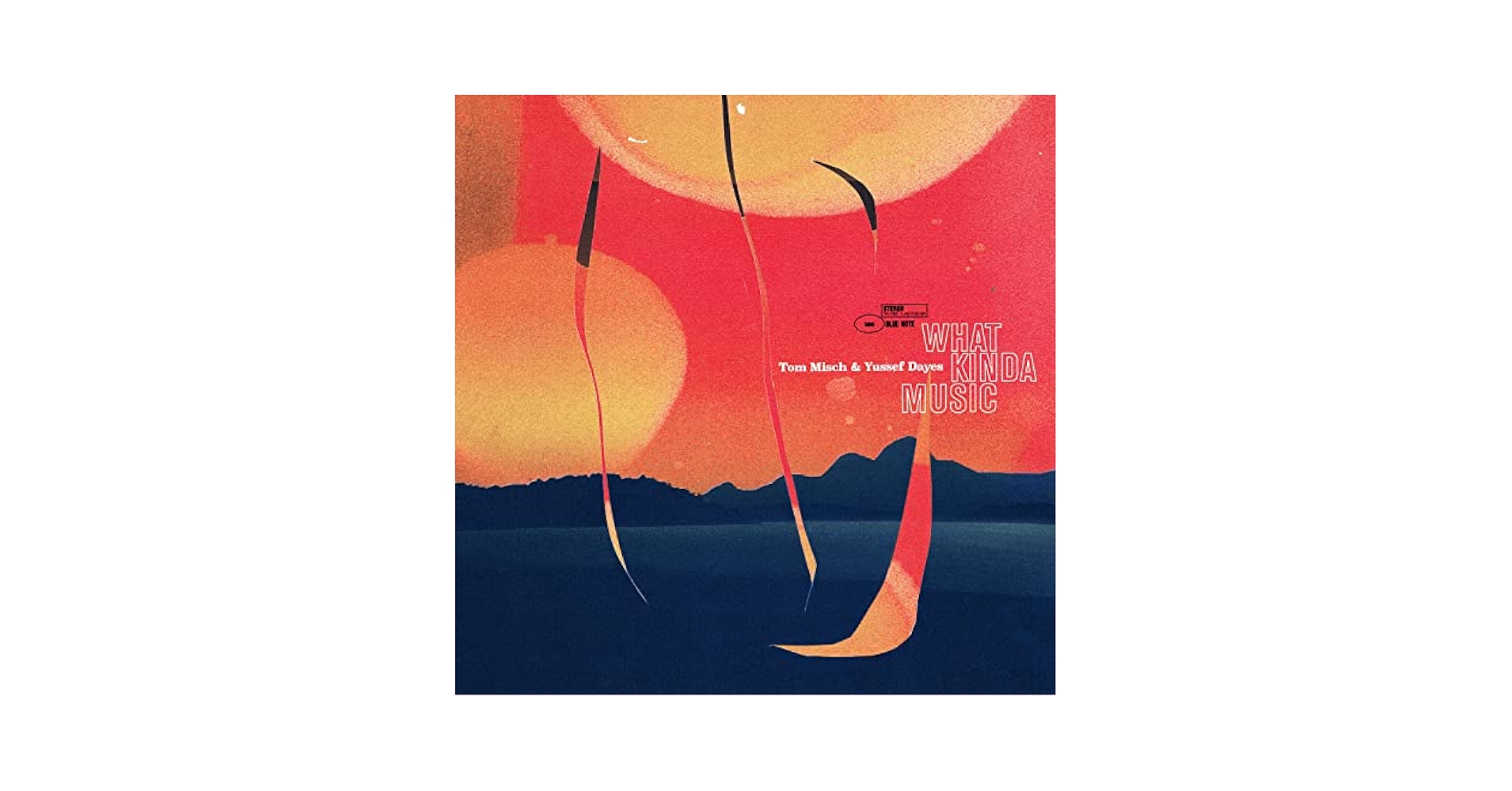 What Kinda Music Tom Misch 2LP deluxe仕様 What Kinda Music Tom Misch 2LP deluxe仕様 - メルカリ