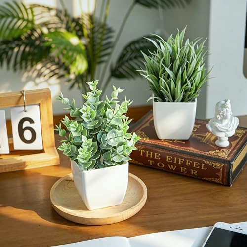 Der Rose 2 Pack Small Fake Plants Mini Artificial Potted Plants Graduation Gifts for Table Desk Home Laundry Room Bathroom Office Decor - Image 6