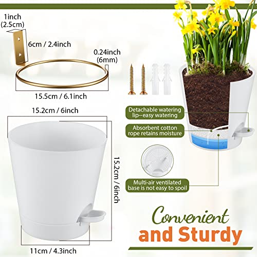 6 Sets 6 Inches Wall Planters For Indoor Plants Self Watering Wall Mounted Planters With 6 Pcs Gold Metal Plant Holders Rings 12 Pairs Expansion Screws 6 Pcs Absorbent Cotton Ropes Installation Notes #TOP2
