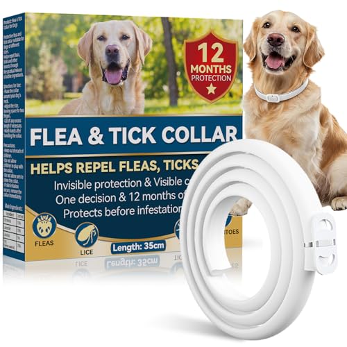 Collare Antiparassitario per Cani, Protezione Efficace Collare Antipulci Cane, 100%Naturale, Impermeabile, Regolabile, Collari Antiparassitari per Cani per Piccoli, Medi e Grandi a Tutte le Razze 65cm