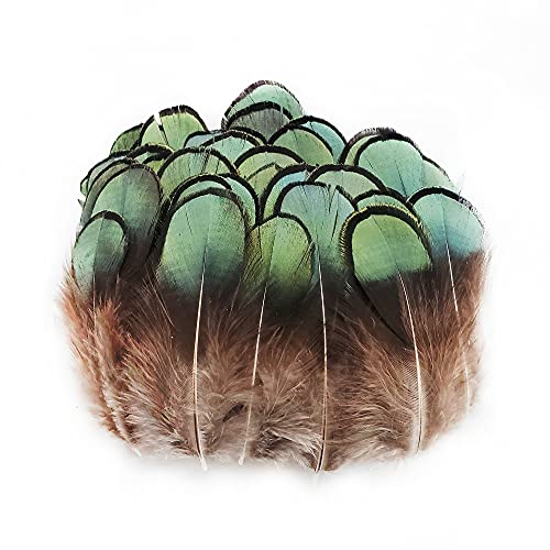 Happy feather 100 pcs green pheasant plumage feathers f…