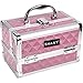 SHANY Chic Makeup Train Case Cosmetic Box Portable Makeup Case Cosmetics Beauty Organizer Jewelry storage with Locks, Multi trays Makeup Storage Box with Makeup Mirror - Polite PINK