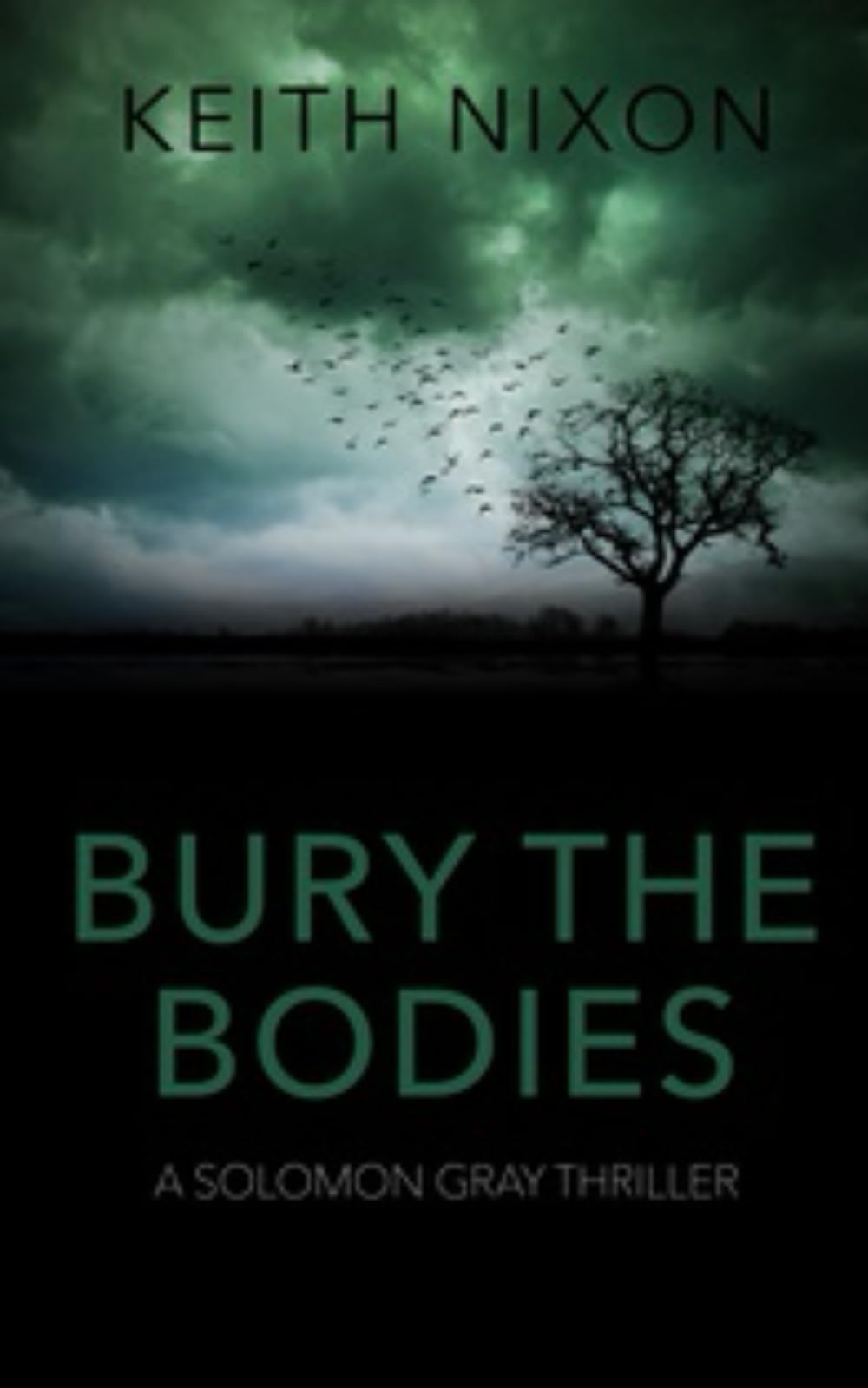 Bury The Bodies: A Gripping Crime Thriller (Solomon Gray)