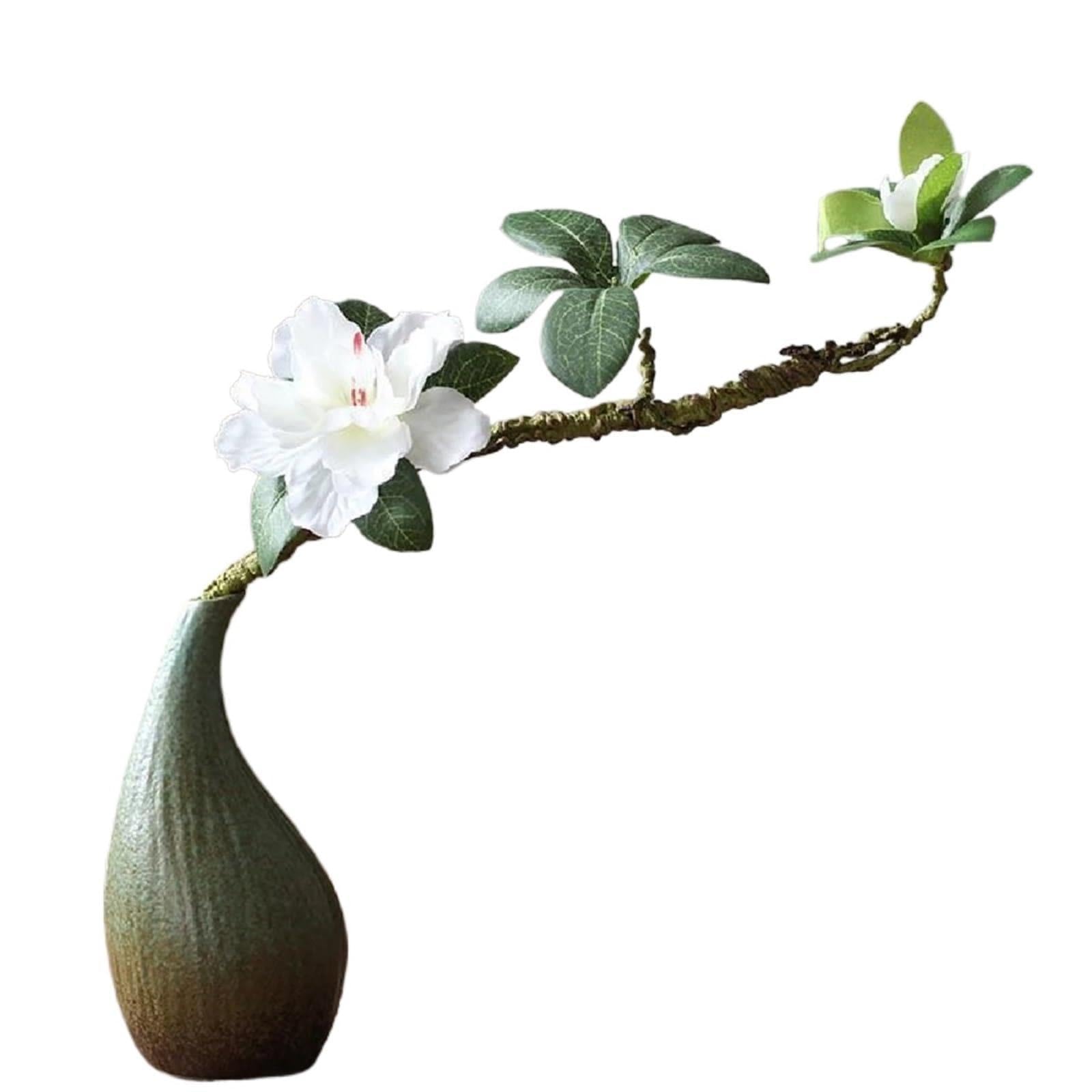 Vases Simple Ceramic Vase Decoration, Living Room Home Dining Table, Hydroponic Plant Small