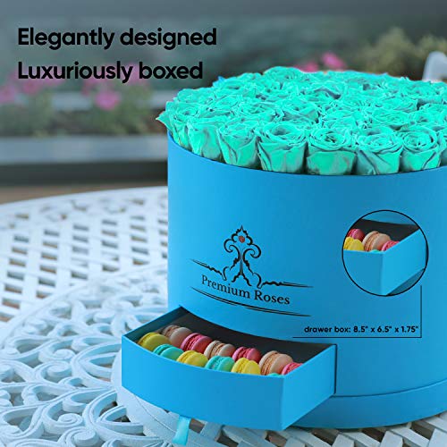 Premium Roses| Real Roses That Last a Year | Fresh Flowers| Roses in a Box (Blue Box, Large)