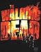 Walking Dead The Two Fire Logo Adult T-Shirt (Large) Black