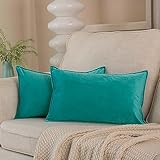 JUSPURBET Juego de 2 fundas de cojín lumbar de terciopelo turquesa de 14 x 24 pulgadas, funda de cojín decorativa suave con cremallera