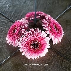 ���� / �R�{��