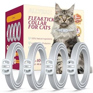 Collar natural para pulgas y garrapatas para gatos, paquete de 4, 8 meses de protección de larga duración, impermeable, tamaño ajustable para gatitos y gatos adultos