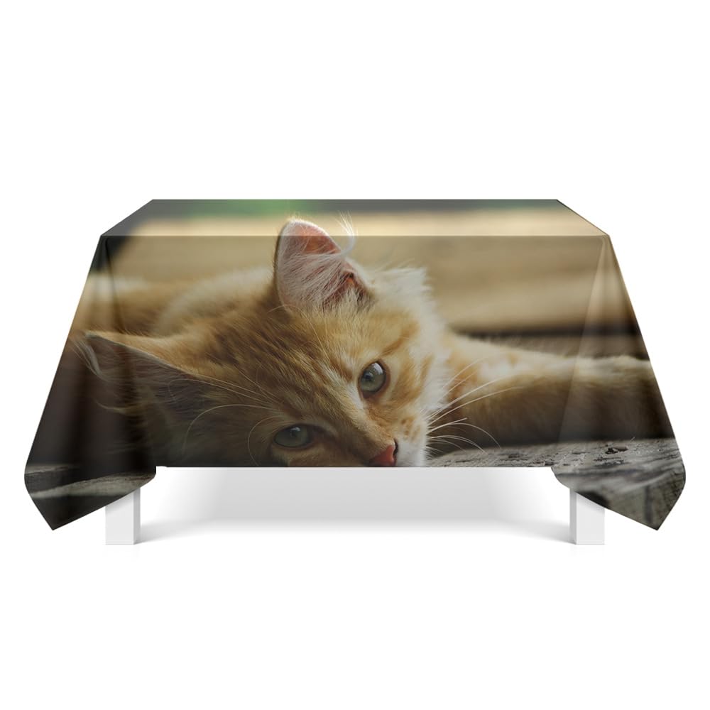 Mantel Antimanchas Lindo Gato Naranja Mantel Mesa Rectangular Poliéster Manteles de Mesa Impermeable Lavable Manteles Antimanchas para Casa Comedor Cocina Fiesta(140x240cm)