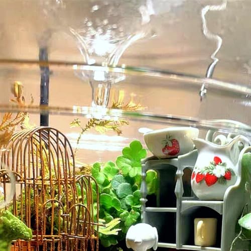 Paysage microscopique durable dans une bouteille écologique L - 5
