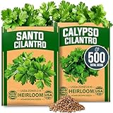 HOME GROWN Cilantro Seeds 250 Calypso & 250 Santo Cilantro for Planting Indoors, Hydroponics or Aerogarden - Heirloom, Non-GMO, Santo Plant, for Your Indoor Herb Garden (Coriandrum sativum)