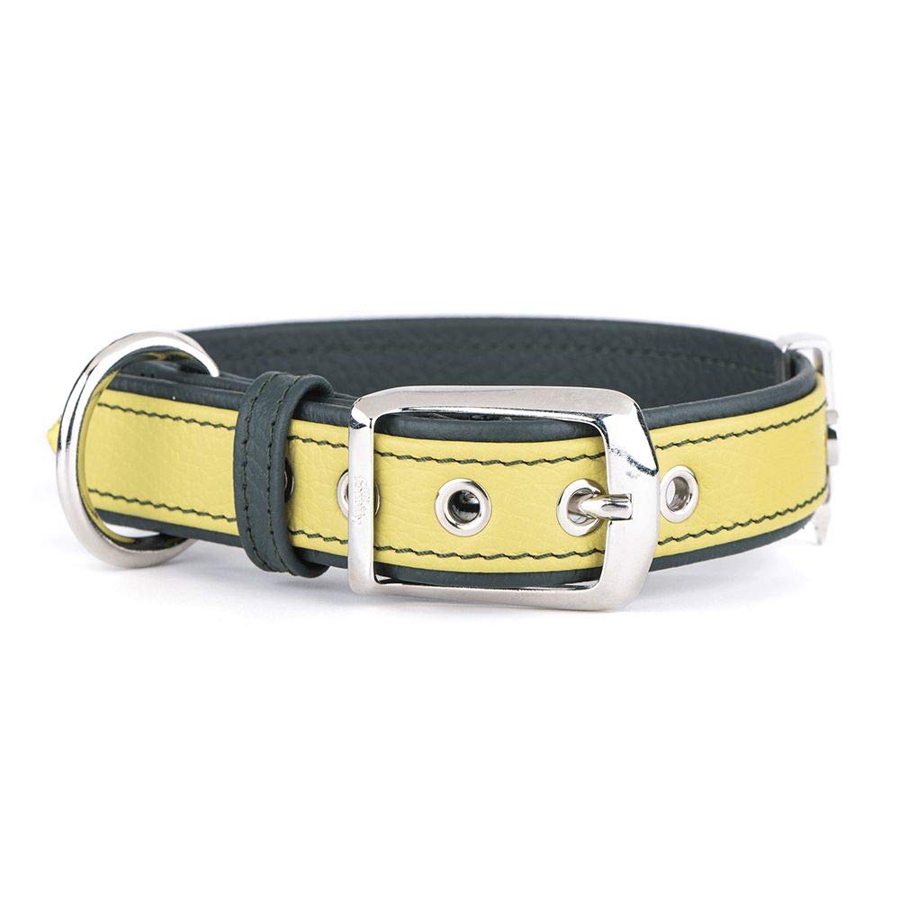 I D Tags MyFamily Collar De Perro Ajustable De Cuero Genuino Italiano Made In Italy, Acabado Metálico De Bronce Blanco, Cómodo Y Resistente, Hecho A Mano, Colección Firenze My Family Basic Gold