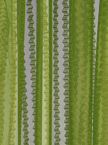 Image of Cortina Polyster Transparent Curtain Set |Long Door Installation | Bedroom Living Room Kids Room | 9 Feet Window Curtain Pack of 1 | Green