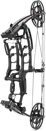 ZSHJGJR Arco compuesto, 40-65 libras, lazo de bola de acero ajustable IBO 420FPS para mano derechaizquierda caza pesca