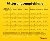 JOSERA Junior High Protein Seefisch (1 x 12,5 kg) | Premium Trockenfutter aktive Hunde ab der 6. Lebenswoche| Lachs & Süßkartoffel | getreidefrei & proteinreich | L-Carnitin & Taurin | 1er Pack
