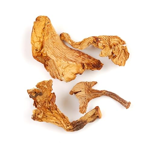 D'Allesandro Organic Dried Chanterelles, 1 lb Pack, Premium Gourmet Mushrooms, Tender Texture & Rich Flavor, Funnel-Shaped, Uncultivated, Easy to Rehydrate, Organic & Natural