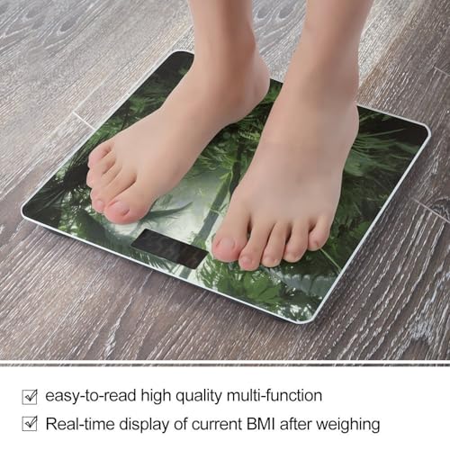 Báscula Digital para Baño con LCD y Medidor de Cinta miniatura 5