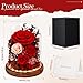 Alupssuc Forever Preserved Real Flowers for Delivery Prime, Eternal Fresh Roses in Glass Dome with LED Lights, Mothers Day Gifts for Mom, Her, Wife, Grandma, Daughter, Women, Girlfriend, Birthday, Red