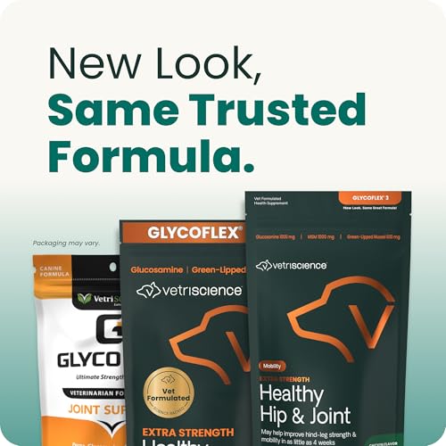 VetriScience Extra Strength Hip & Joint Supplement for Dogs – Supports Joint Health & Mobility, Vet-formulated w/Glucosamine, MSM & Green-Lipped Mussel – Chicken Flavor, 120 Chews