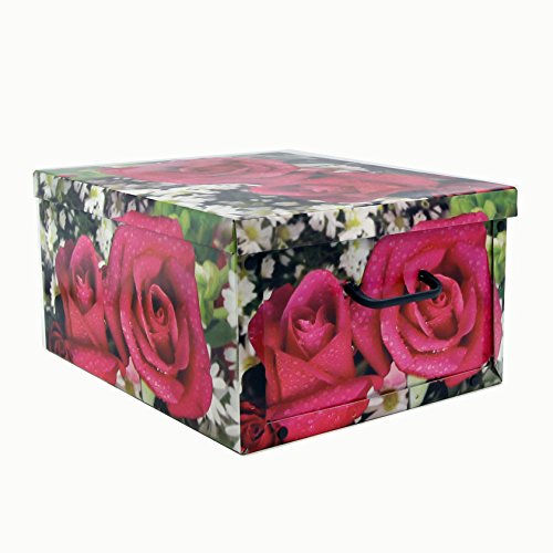 Tendenze S.R.L Compack Bauletto Multiuso, Cartone, Multicolore, 50 x 40 x 25 cm