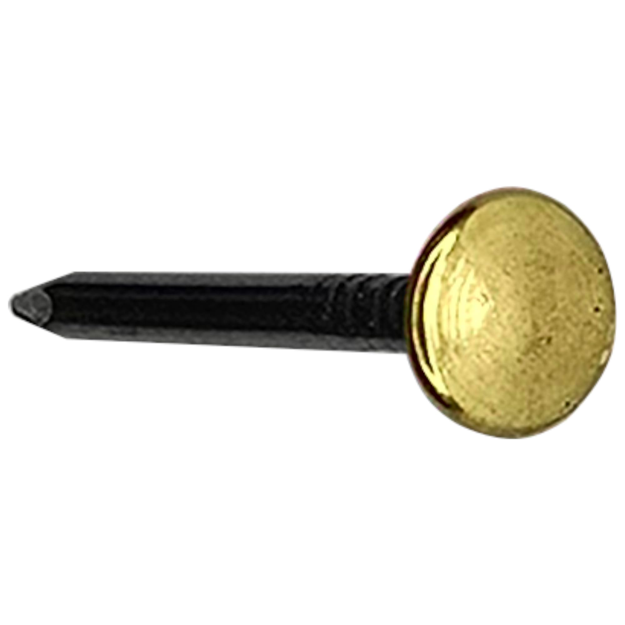 cyclingcolors 20 x mosiężne złote szerokie gwoździe stalowe gwoździe do montażu na ścianach zdjęcia dekoracyjne obrazy 2x40mm