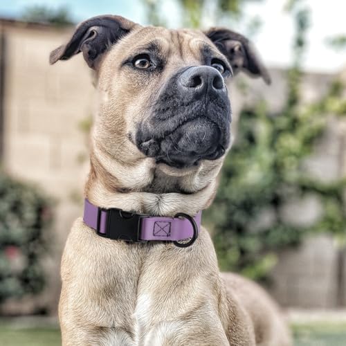 Image of Dogline Biothane Waterproof Dog Collar with Quick Release Buckle Strong Coated Nylon Webbing with Odor- Proof for Easy Care Easy to Clean Fits Small Medium Large Dogs, Amethyst Purple 5 /8 inch W 9-14 inch L