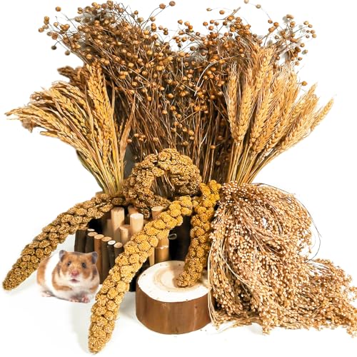 Natural Hamster Grain & Herb Habitat Deocr Edible Hamster Sprays Herbs Bedding Mate Hamsters Forage Cage Enrichment Decoration Accessories for Gerbil Dwarf Syrian Hamsters Mouse Guinea Pig Mice